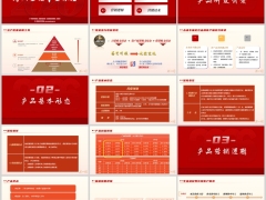 海港海纳金福开发背景基本形态卖点营销逻辑话术30页.pptx 