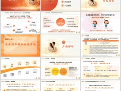 海港附加祥和定期寿险开发背景产品解析规则投保案例26页.pptx 