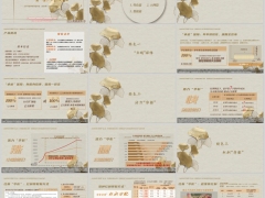 太平卓越华彰分红型产品概况特色投保示例产品形态费率24页.pptx 