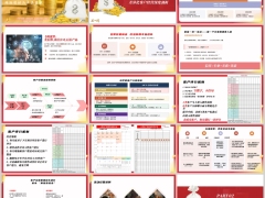 精准差异化客户经营深度剖析重新认识中产客户情绪价值营销41页.pptx 