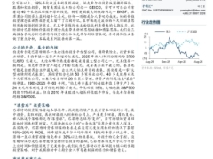 保险行业无法复制的巴菲特大型永续封闭式基金41页.pdf 