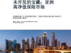 未开发的宝藏亚洲高净值保险市场麦肯锡14页.pdf 