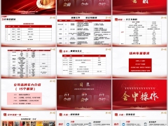2026居家养老平台项目孵化运作会前会中会后操作说明30页.pptx 