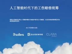 保险行业人工智能时代下的工伤赔偿统筹12页.pdf 