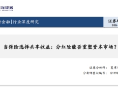 当保险选择共享收益分红险能否重塑资本市场44页.pdf 