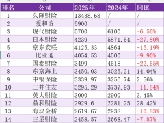 2025年财产保险公司车均保费统计表.xlsx 