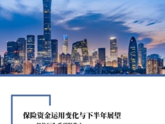 保险行业保险资金运用变化与下半年展望&mdash;机构行为28页.pdf 
