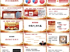 2026年中业务平台运作训练太平卓越华彰产品亮点案例解析45页.pptx 