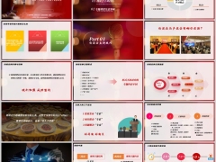 讲师专题讲授技巧创说会主讲技巧三段论解析注意事项33页.pptx 