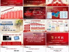 2026养老平台五步全流程问题导向五精升级太平版含备注26页.pptx 
