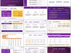 阳光玺紫荆版产品核心特点案例演示搭配政策销售场景27页.pptx 