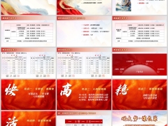 国寿银保鑫禧盈鑫富盈分红型两全保险产品形态特色案例15页.pptx 