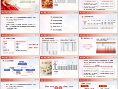 国寿银保鑫福延年鑫益延年养老年金险产品形态特色案例22页.pptx 