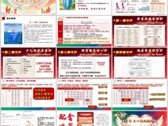 国寿康宁乐享终身重大疾病保险背景产品特色案例演示15页.pptx 