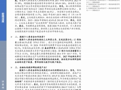 养老金配置系列德国养老金产品如何设计19页.pdf 
