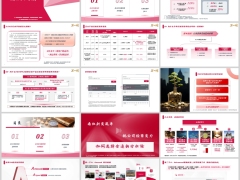 2025年度稳健成长友邦分红保险总体介绍经营能力QA30页.pptx 