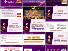 新华金悦优选庆典版盛世荣耀盈家版产品要素特色亮点案例演示33页.pptx 