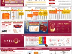 泰康鑫享世家2027御享版分红型幸福有约计划案例三大权益28页.pptx 