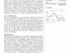 保险行业无法复制的巴菲特系列保险帝国的崛起34页.pdf 