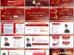 太保盛世鸿运鸿福添年恒赢版产品亮点客群画像案例15页.pptx 