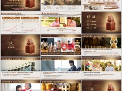 恒安标准恒鑫世家臻选版产品特点详情示例公司简介45页.pptx 