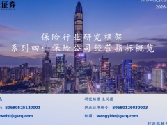 保险行业研究框架保险公司经营指标概览29页.pdf 