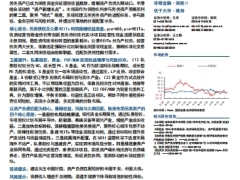 寻找中国保险股的Alpha系列险资另类投资图谱模式篇43页.pdf 