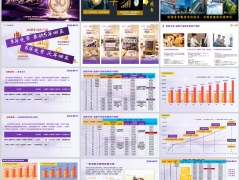 华泰盛世华章年金保险分红型产品定位经典案例演示17页.pptx 