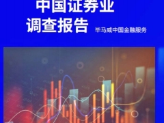2026年中国证券业调查报告经营业绩概览行业趋势业务动态172页.pdf 