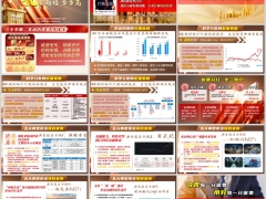 穿越经济周期养老形势新华五大典型投资项目案例解析23页.pptx 