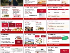 2026从银发经济趋势到养老销售四个重点话术示例20页.pptx 