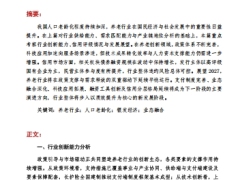 老龄化背景下养老行业发展格局与前景展望下篇13页.pdf 