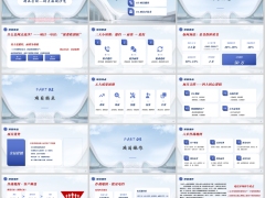 银保精品会销网点流沙项目概述特点核心逻辑操作太保版29页.pptx 