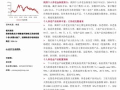个人养老金产品配置策略谱系完整定投是主流策略20页.pdf 