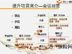 银保提升项目简介推动行事历沟通43页.ppt