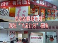 增员飞龙计划战报16页.ppt