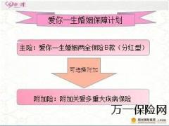 阳光人寿爱你一生B款产品介绍责任案例讲解15页.ppt