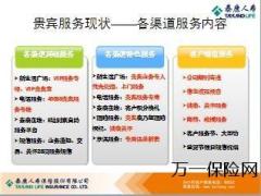 泰康人寿服务体系介绍31页.ppt