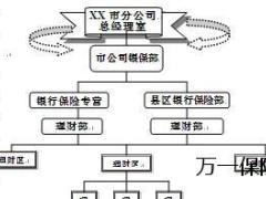银保渠道理财经理组织归属与职级职责.doc
