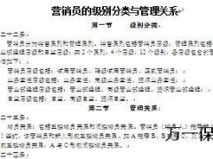 代理公司营销员的级别分类与管理关系5页.doc