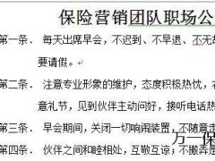 保险营销团队职场公约1页.doc