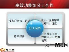 高效功能组运作模式13页.ppt