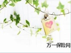 清新绿色PPT模板4页.ppt