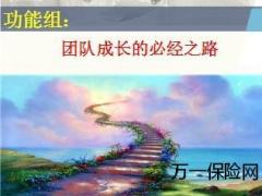 团队功能组的建立及案例45页.ppt