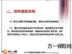 如何进行新筹机构人才引进及新筹团队搭建要求19页.ppt