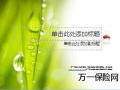 清新水珠PPT模板5页.ppt