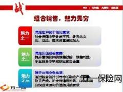 新华祥瑞一生组合销售计划27页.ppt