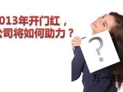 2013年开门红业务方案宣导59页.ppt