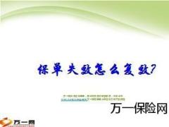 尽可能不要让保单失效9页.ppt