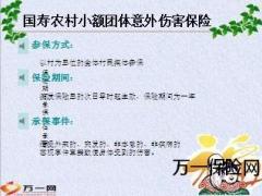 2012年度新农合补充意外伤害保险8页.ppt
